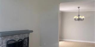 26261 Buscador Gallery 6