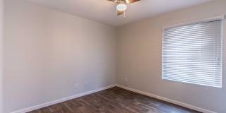 Rise on Cactus Gallery 58