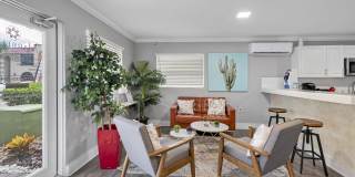 Marbella Park Gallery 12