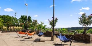 The Summit Gallery 20