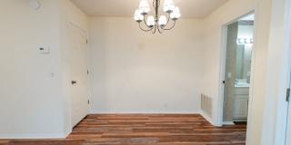 This newly remodeled house is the perfect cozy place to call home. It is 2 bed, 1.5 bath and pet friendly. Nestled in the community of Coronado courts and within walking distance of lake Coronado and the Coronado fitness center. Gallery 14