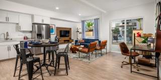 Aston at Gateway Gallery 15