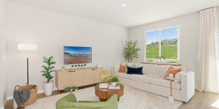 Coral Palms at Oakleaf Gallery 10