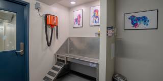 Victory On Leonard Gallery 18