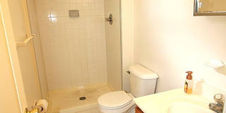 4405 APEX Lane Gallery 29