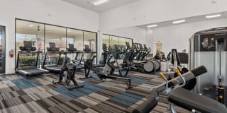 Reveal Skyline Gallery 19