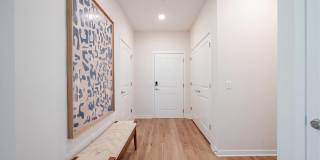 Alta Citron Gallery 55