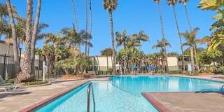 3700 Dean Drive Gallery 1