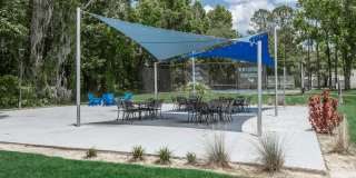 The Julep Gallery 15