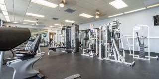 Horizons North Gallery 13