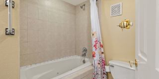 Palms at Waters Edge 3344-M6 Gallery 13