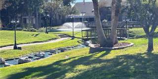 16 Rock Creek Drive Gallery 5
