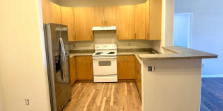 9538 West San Juan Circle #303 - 1 Gallery 4