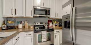 42461 ROCKROSE Square Gallery 18