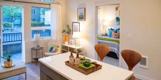 Morado Bothell Gallery 1