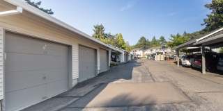 Oswego Cove Gallery 13