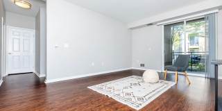 The Village at Town Center Gallery 85