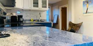 Newly renovated 1-Bd Cambridge - Great Deal Gallery 5