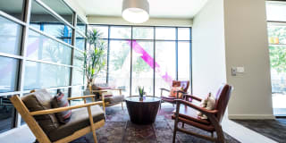 Corazon Gallery 10
