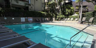 950 N Kings Rd Gallery 6