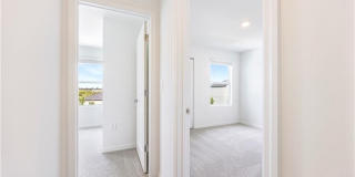 4090 San Felice Ln Gallery 35