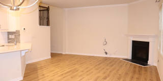 332 River Pine Drive Gallery 7