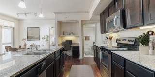 Dolce Living Rosenberg Gallery 2