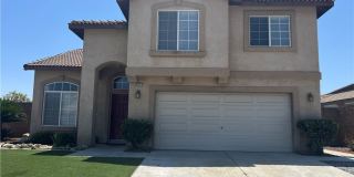 15177 Dandelion Gallery 1