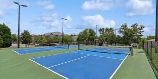 Evergreen at Five Points Gallery 4