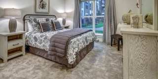 55+ Active Adult Apartment Homes - NorthStar Georgetown Gallery 24