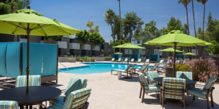 Scottsdale 59 Gallery 16