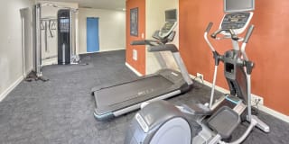 Forest Hill Village Gallery 27