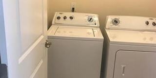 473 Panorama View Loop Gallery 15