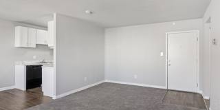 Swift at Riverdale Park Gallery 52