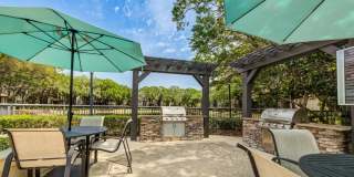 Paradise Island Gallery 44