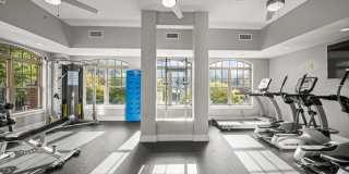Cedar Flats Gallery 44