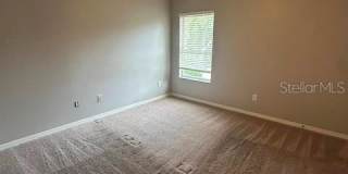 15723 FISHHAWK FALLS DRIVE Gallery 12