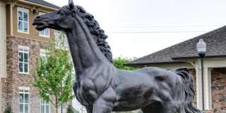 Edison at Peytona Gallery 21