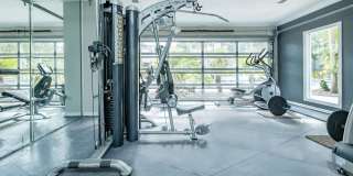 Amelia at Deerwood Gallery 7