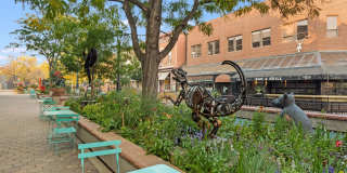 1800 W Mulberry Street Gallery 34