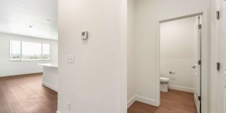 Brand New 3 Bed Townhome in Timnath Ranch Gallery 12