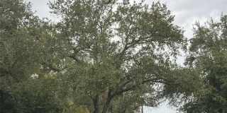 8674 HUNTERS KEY CIRCLE Gallery 2