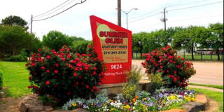 Summer Glen Gallery 14