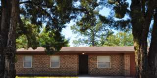 Remodeled 3/2 with huge yard in Sandalwood Gallery 1