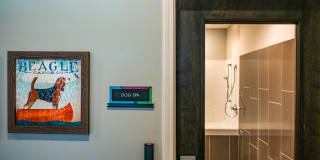 Axis on Lexington Gallery 13