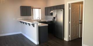 Showings Available NOW Gallery 8