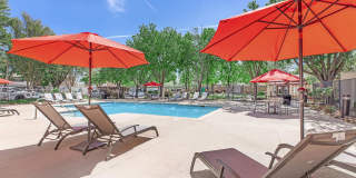 Avery at TownCentre Gallery 20