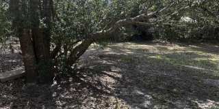 2735 Ridgeway Drive Gallery 14