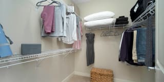 TGM Northshore Gallery 45