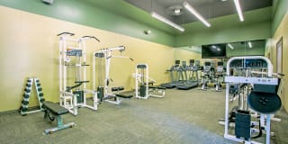 Rolling Oaks Gallery 19